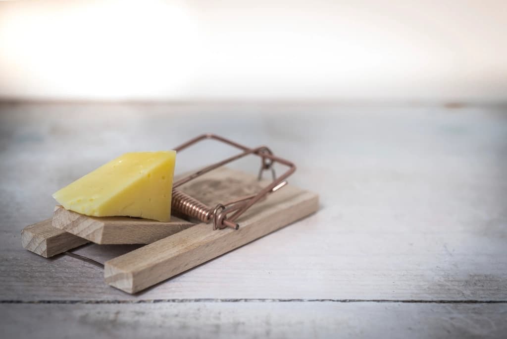 How to Get Rid of Mice in Your House: 7 Steps That Work