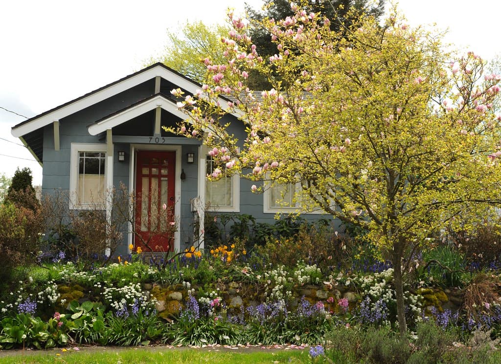 The Manitoba Homeowner's Guide to Year-Round Pest Control
